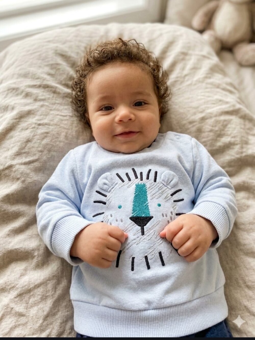 NWT 🦁💙 Mini Hop Baby Blue Sweater W. Lion Sweater 3 Months Shoulder Buttons
